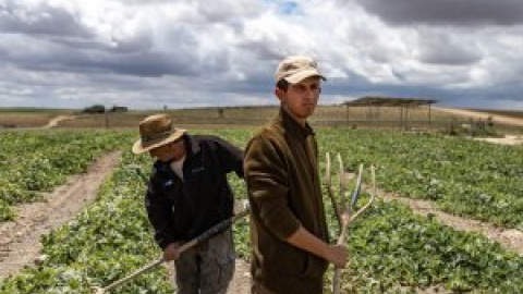 España se seca: de Las Tablas de Daimiel a Doñana