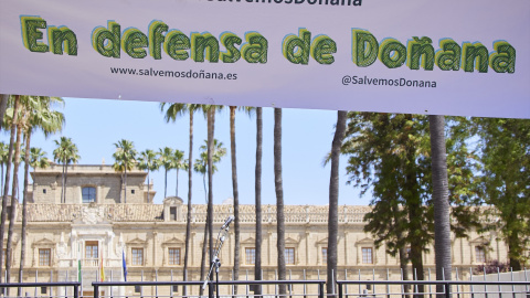 Detalle de la manifestación 'En defensa de Doñana', a 14 de mayo de 2023 en Sevilla (Andalucía).