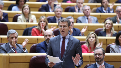 MADRID, 22/11/2022.- El líder del PP, Alberto Núñez Feijóo, interviene en el pleno del Senado en Madrid este martes. EFE/Kiko Huesca