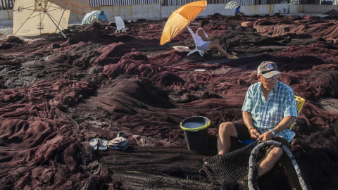 Varios pescadores arreglan artes de pesca en el muelle de Barbate, a 17 de julio de 2023.