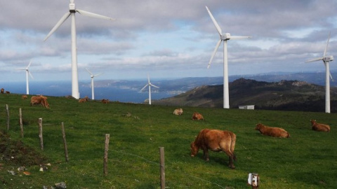 29/11/22 Molinos aerogeneradores en monte de Galicia frente al mar.