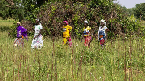 Imagen de archivo de varias mujeres en un campo en Ouahigouya, Burkina Faso, a 16 de enero de 2023.