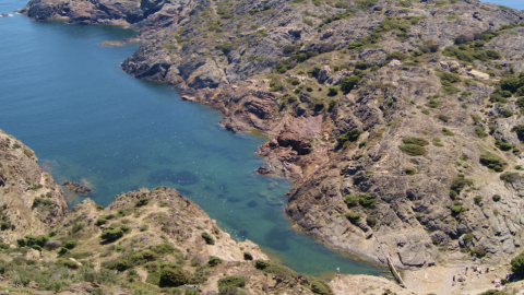 Cala sa Forcanera