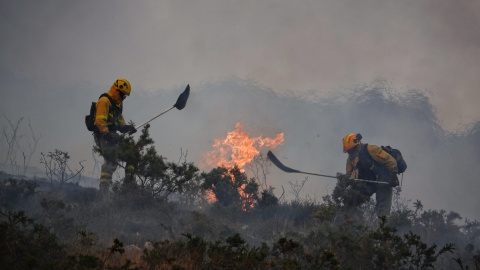 Incendios forestales a causa del cambio climático