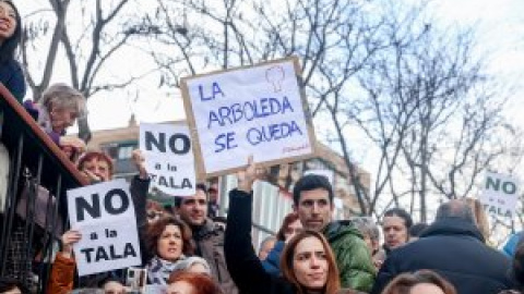 La Justicia rechaza la petición de paralizar la tala masiva de árboles en Madrid por las obras de la Línea 11 de Metro