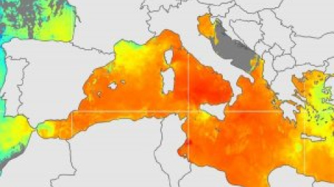 Una ola de calor marina calienta un Mediterráneo con temperaturas hasta 4ºC por encima de lo normal