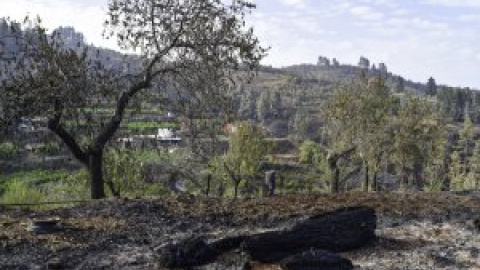 Estabilizado el incendio de La Palma tras calcinar 2.900 hectáreas