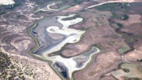 La principal laguna de Doñana se secará por completo en dos semanas