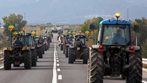 Las pérdidas que el veto ruso está causando en las explotaciones familiares de fruta de hueso han hecho que los agricultores se movilicen para reclamar soluciones.