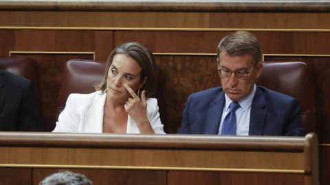 El líder del PP, Alberto Núñez Feijóo y la secretaria general de la formación, Cuca Gamarra, durante la sesión constitutiva de las Cortes Generales de la XV Legislatura 