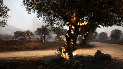 Incendio Grecia