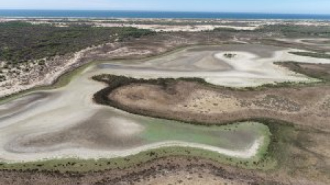 Doñana se muere: todas las masas de agua han descendido y el acuífero ha perdido tres metros de media