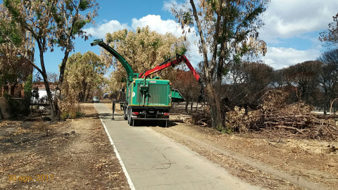 Una máquina quita ramas de árboles quemados en el incendio de Doñana.