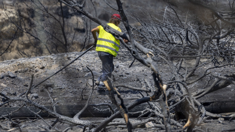 Un empleado repara el suministro eléctrico destruido en Kiotari, al sureste de Rodas, a 26 de julio de 2023, Grecia.