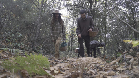 10/2020 - Els quatre joves instal·lats al Montseny en una de les expedicions recol·lectores pel bosc.