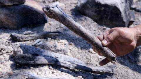 L'incendi de Corbera d'Ebre segueix deixant al descobert restes de soldats de la Guerra Civil