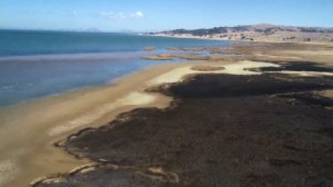 Preocupante situación del Lago Titicaca por la sequía