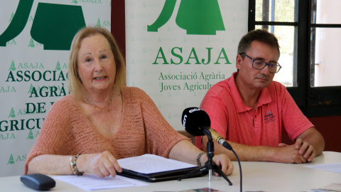 Rosa Pruna, presidenta d'Asaja, en roda de premsa