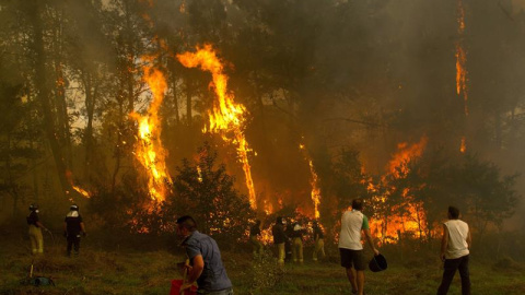 Un grupo de personas tratan de apagar el incendio de Zamanes, Vigo. EFE/Salvador Sas