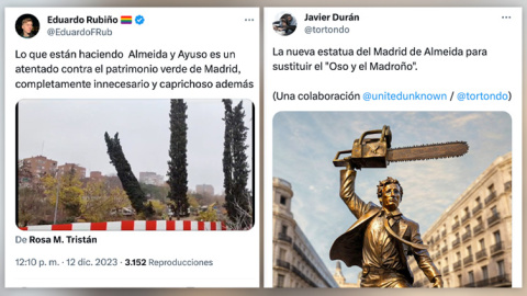 Críticas al último arboricidio de Almeida y Ayuso en Madrid.