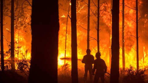 Un hombre lucha contra las llamas en un incendio forestal declarado en Vieira de Leiria en Marinha Grande (Portugal). / EFE