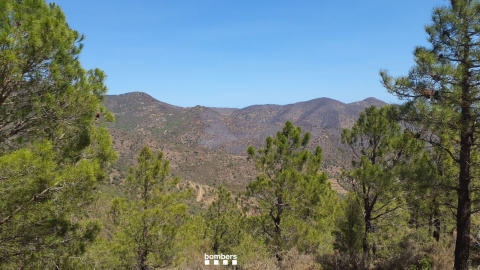 Imatge de la zona de l'incendi d'aquest diumenge