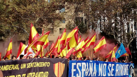 La ultradreta dóna suport i es fa visible a la manifestació convocada per Societat Civil Catalana / Javier Borràs