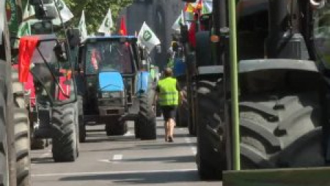 Los agricultores exigen en Madrid ayudas directas para paliar los efectos de la sequía