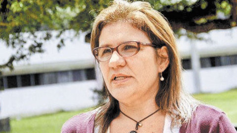 Pasqualina Curcio es Curcio es Profesora Titular del Departamento de Ciencias Económicas y Administrativas y de la Coordinación de Postgrados en Ciencia Política de la Universidad Simón Bolívar y miembro del Consejo Directivo de la Fundación Institu