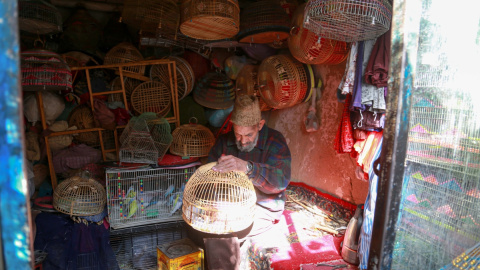 Un hombre vende pájaros en su tienda en Kabul. EFE/EPA/SAMIULLAH POPAL