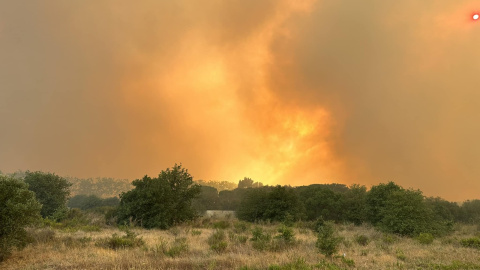 Una imatge del fum i les flames provocat per l'incendi.