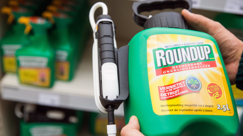 El glifosato, que comunmente se comercializa bajo la marca Roundup. EFE