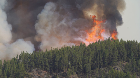 El incendio forestal, a 17 de agosto de 2023, en La Orotava, Tenerife, Islas Canarias (España).