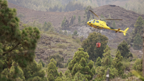 18/08/2023 - incendio Tenerife