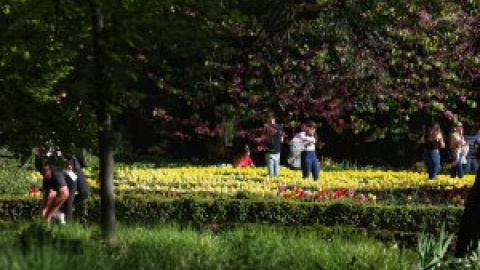 Una primavera en pleno enero: la Aemet anuncia una subida de temperaturas