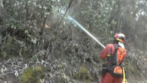 La noche transcurre mejor de lo esperado en el incendio forestal de Tenerife