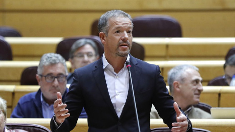 Ander Gil, portavoz del PSOE en el Senado. /EFE