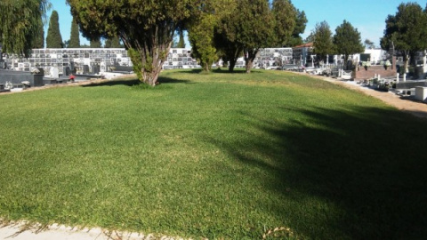 Cementerio de la Soledad de Huelva donde se han hallados los restos de Pedro Masera Polo.