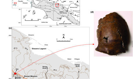 Ubicación del sitio y los restos óseos encontrados. / PLoS