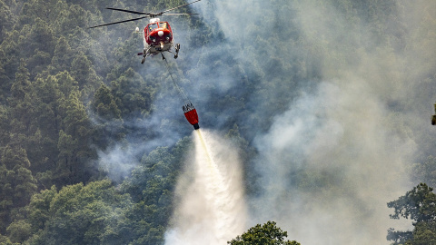 Un hidroavión trabaja en la extinción del incendio forestal en Tenerife, a 19 de agosto de 2023.