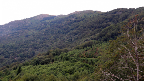 Vista del Montseny des del mirador de les Guaitadores