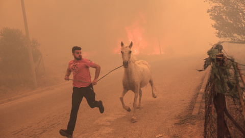 Un ganadero corre para evacuar a uno de sus caballos en medio de un incendio forestal en el área de Fyli, cerca de Atenas, Grecia.