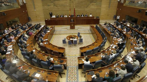 Pleno de la Asamblea de Madrid. / EFE