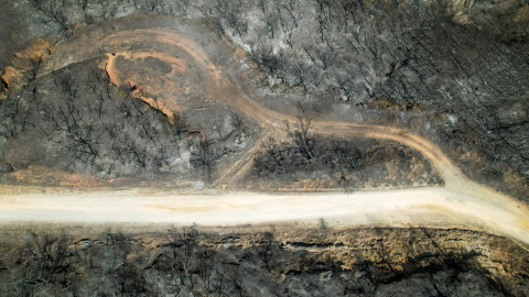 Vista de un bosque quemado tras el incendio forestal de Grecia, cerca de la aldea de Avantas, en la región de Evros, el 28 de agosto de 2023.