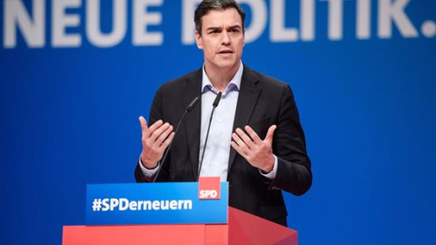 Pedro Sánchez, SPD