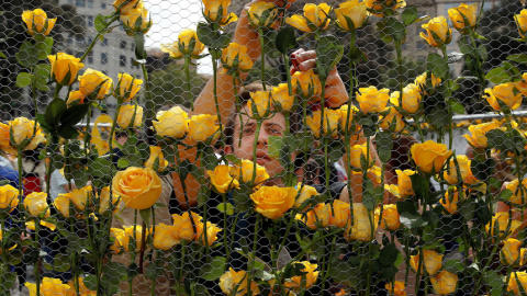 Un joven coloca una rosa amarilla en el panel que Òmnium Cultural ha instalado en la Plaça Catalunya.- EFE