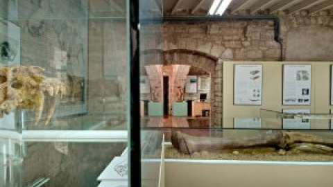 El Museu Arqueològic de Banyoles obrirà a mitjans del 2024 després de dos anys tancat