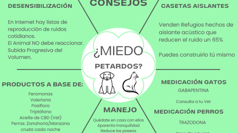 Infografía con los consejos sobre cómo actuar con los animales durante la pirotecnia