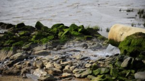 Los ríos españoles, profundamente contaminados por pesticidas y sustancias químicas