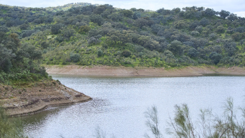 Detalle del embalse de la Minilla, en el Ronquillo, a 11 de marzo de 2024 en Sevilla